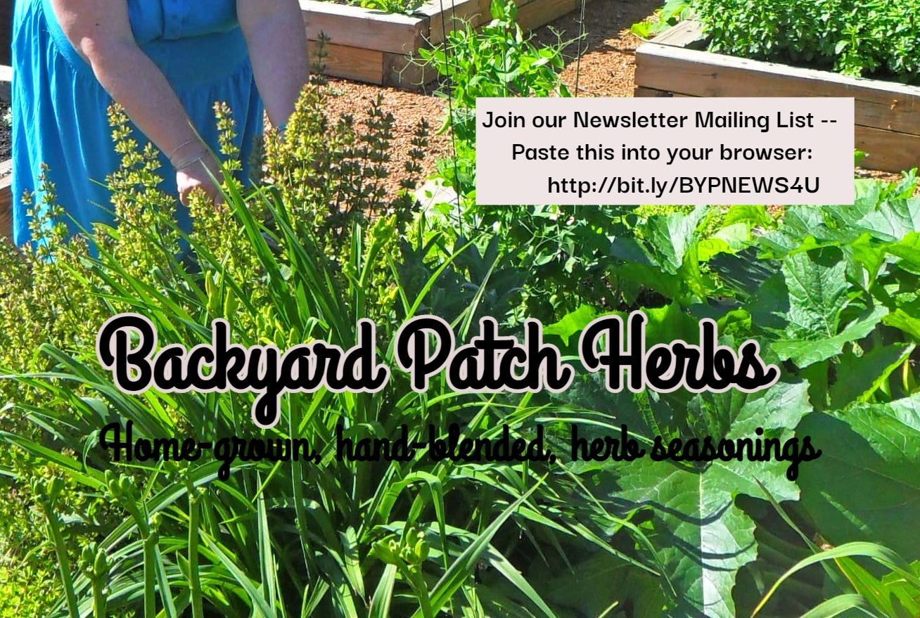 Lentil Gourmet Soup Mix, make soup at home, dry mix, vegan, salt free too!