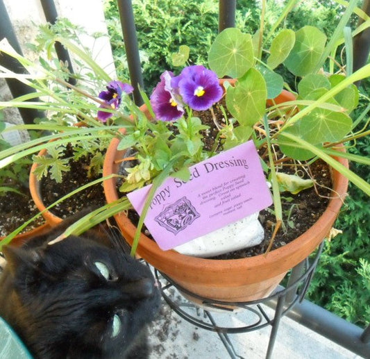 Poppy Seed Salad Dressing Herb Mix | Backyard Patch Seasoning Blend