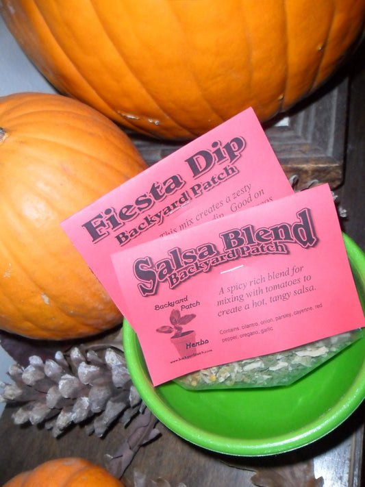 Salsa Gift Bowl with two Herb Mixes, Salsa Seasoning, Fiesta Dip,