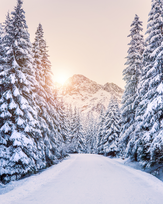 Advent Calendar - Day 2 - Winter is a wonderful season