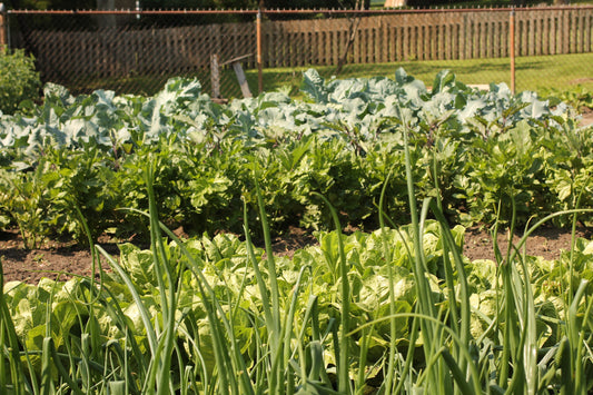 Our Blog Resides Elsewhere