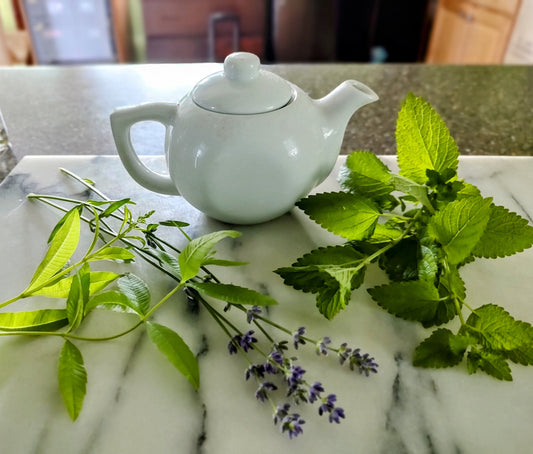 Picking Tea to Match what Ails You