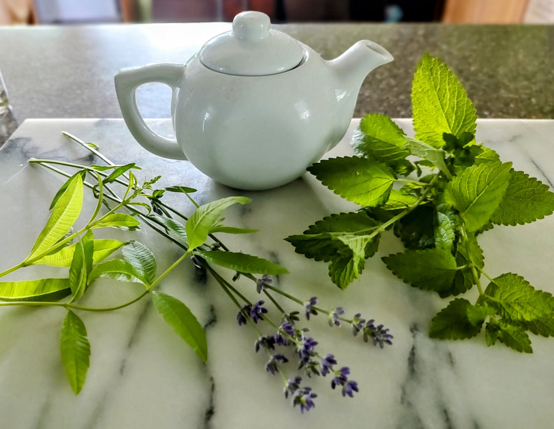 The Evolution of Our Tea Line: Favorite Seasonal Teas