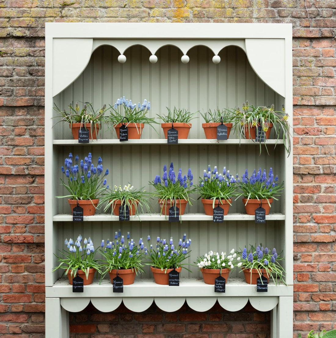 May Day Garden Ideas