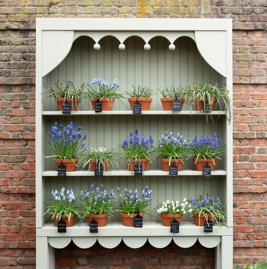 May Day Garden Ideas