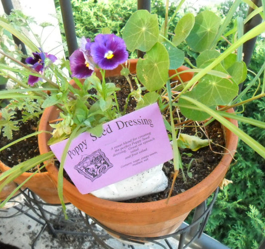 A few more recipes to try at home - Orzo Pasta and Poppy Seed Dressing