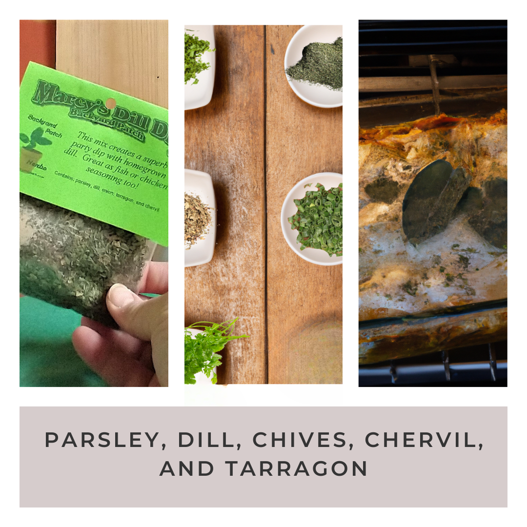 Dill Dip Mix Herb Blend for Cooking, Hand-blended salt-free dry HERB MIX