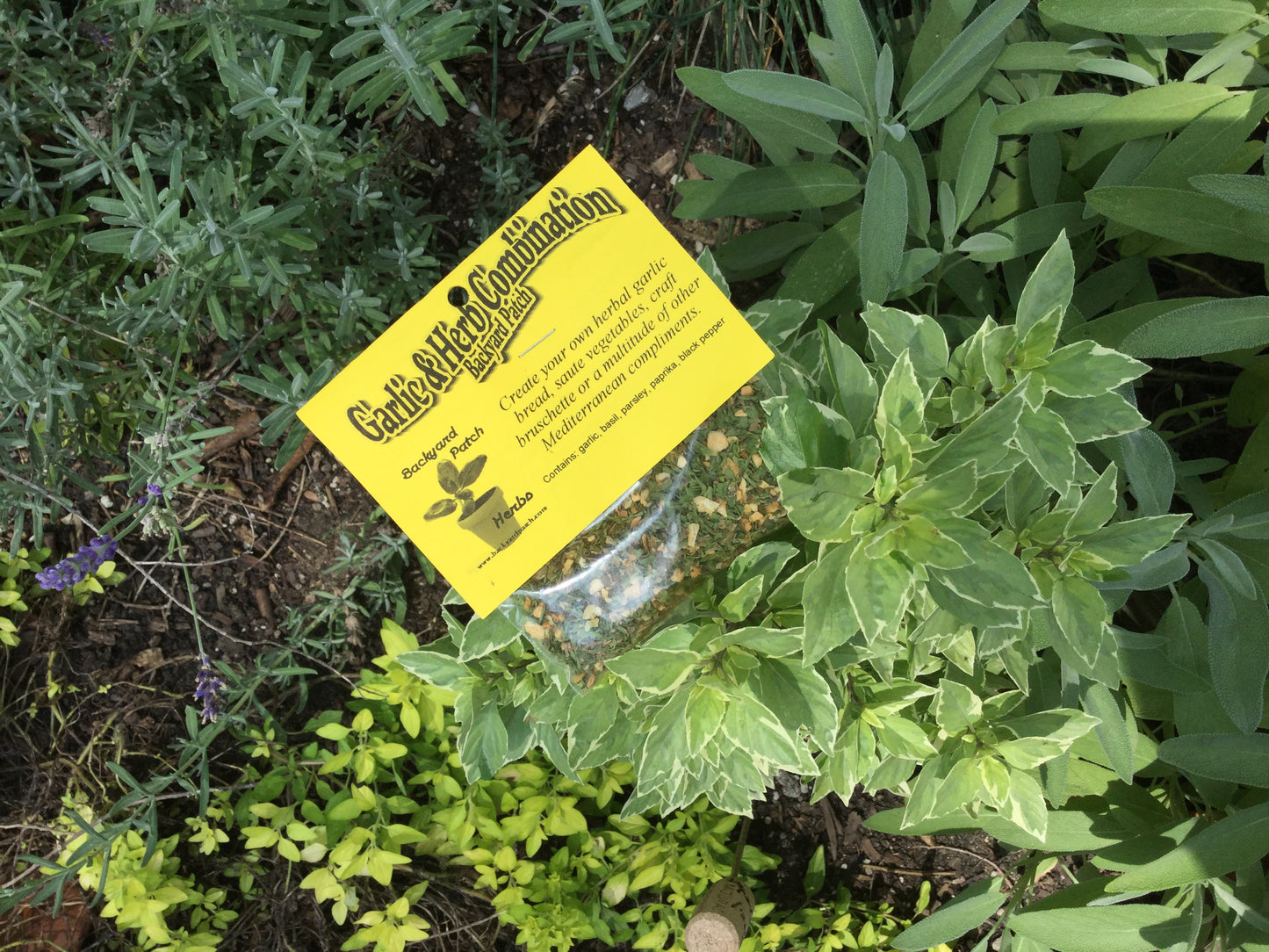 Garlic & Herb Blend for Cooking, Hand-blended salt-free dry herb mix, dressing, dip, bruschetta