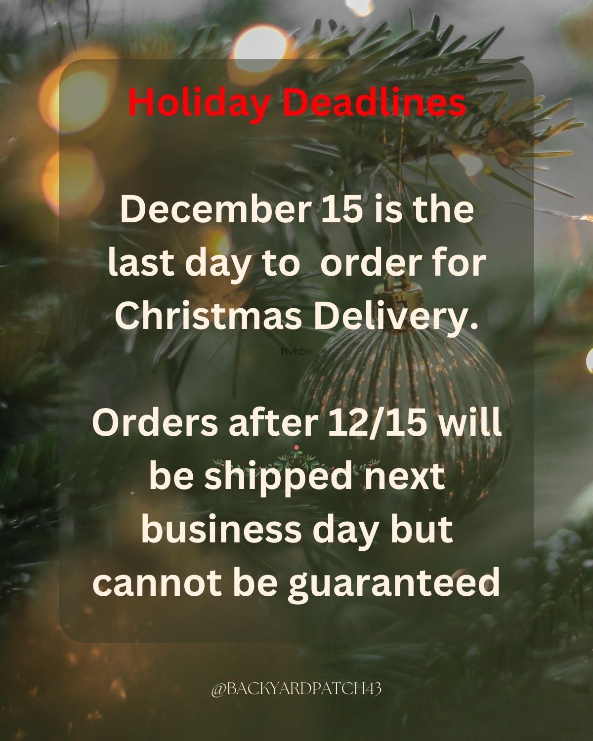 Handmade Pottery Bowl with Minestrone Soup Mix | Gourmet dry soup mix | organic | Backyard Patch Herbs