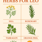 Zodiac Cooking and Tea Blend for Leo (July 23 to August 22)