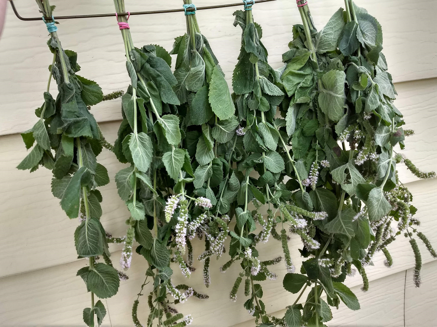 Holiday Tea Blend, Mint Merriment tea, Mint, Rosehips, Rose petals