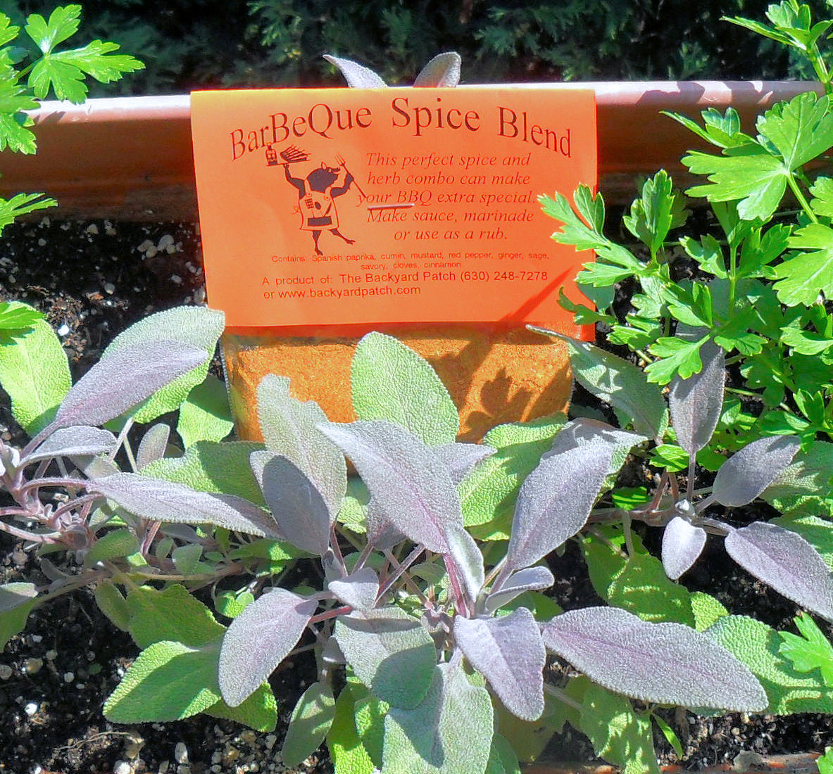 Rubs for Grilling, Dry Herb Cooking Mixes with no salt or preservatives by Backyard Patch Herbs