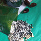 Creamy Wild Rice and Mushroom Soup Mix, Gourmet dry soup mix, hand-blended, salt-free, dry soup mix
