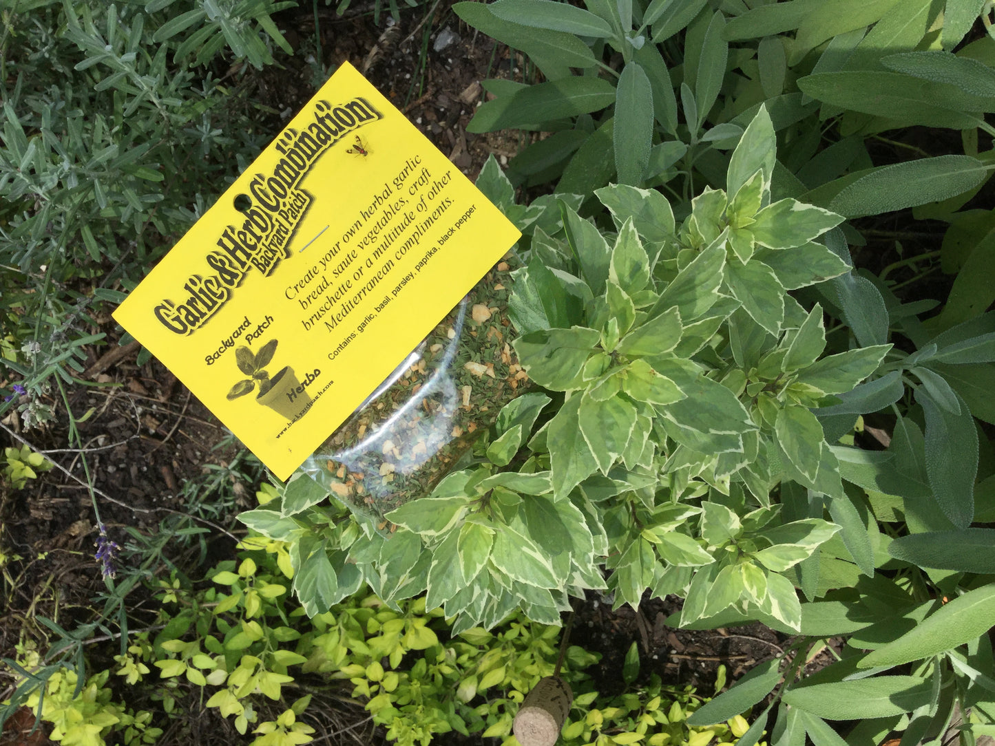 Dip Mixes Choose your Favorite, pick from many different, hand-blended, home grown herb based dip spice mixes