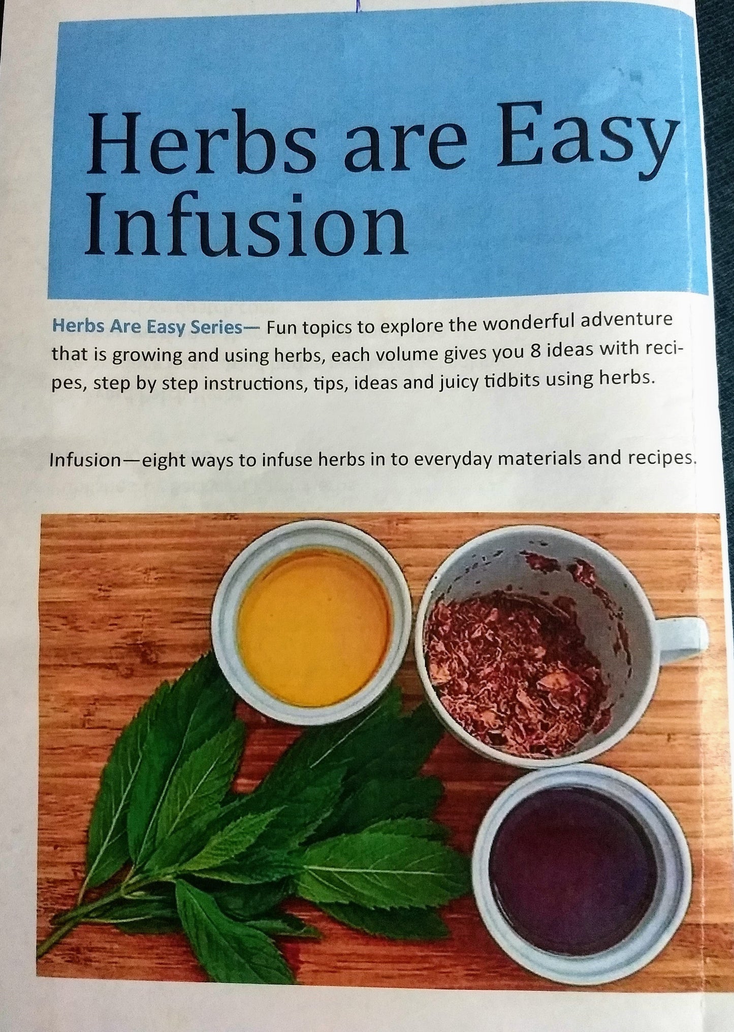 Book - Infusion (infusing the flavor of herbs)- Herbs R Easy series by Marcy Lautanen-Raleigh