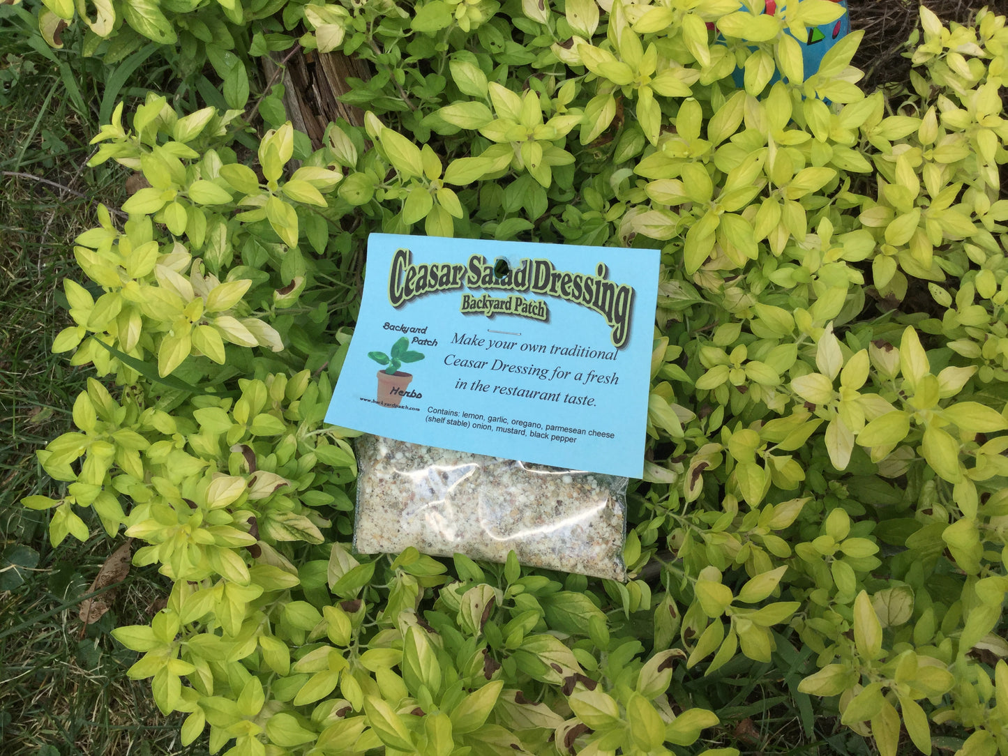 Salad Dressings Mixes - Hand blended Dry Herb Seasoning Mixes