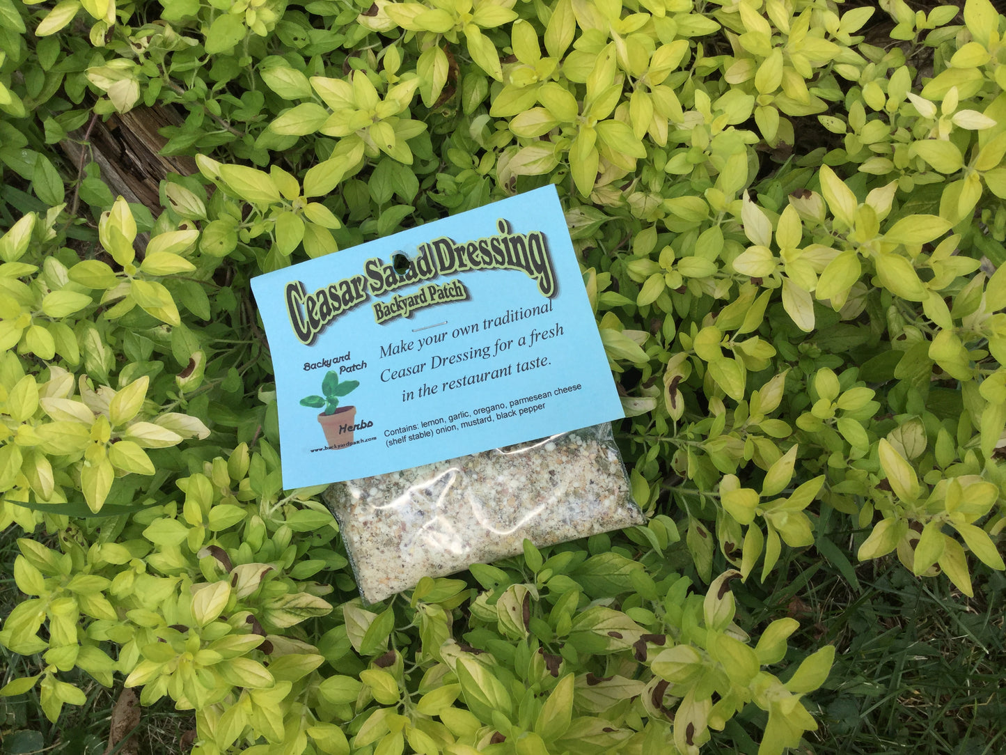 Caesar Salad Dressing Mix, Hand-blended Dry Herb Cooking Mix, savory herbs and garlic, gluten free