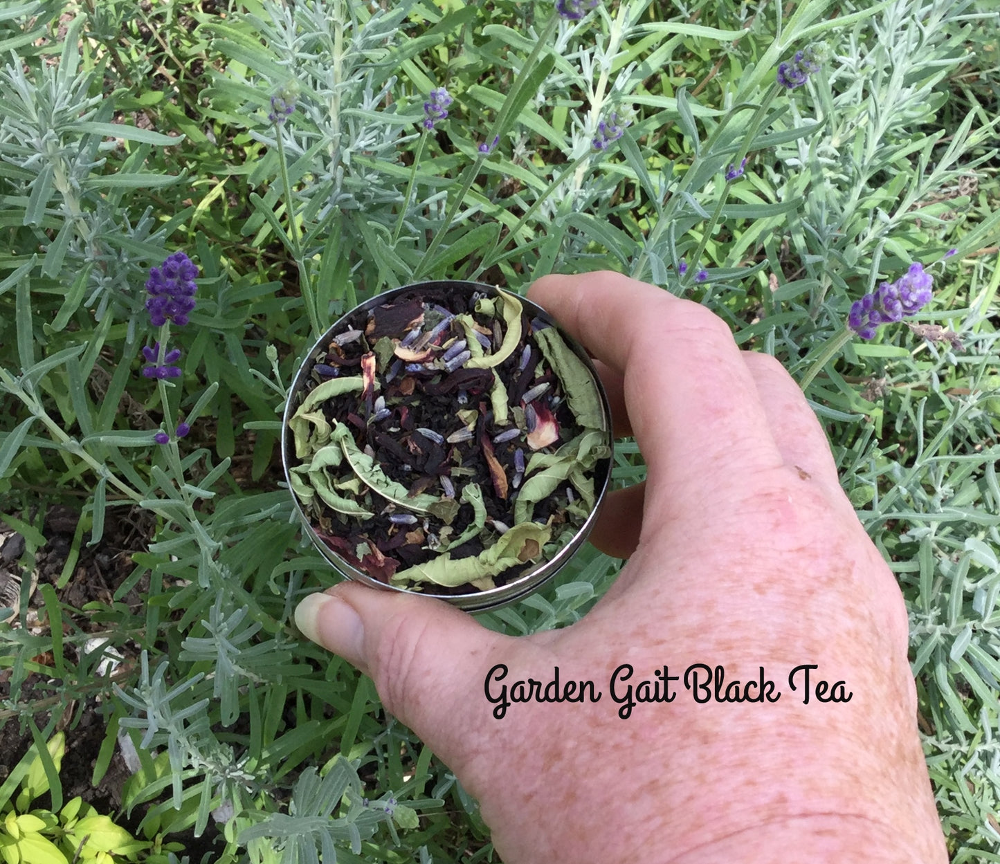 Garden Walk Herb Tea Blends, various recipes