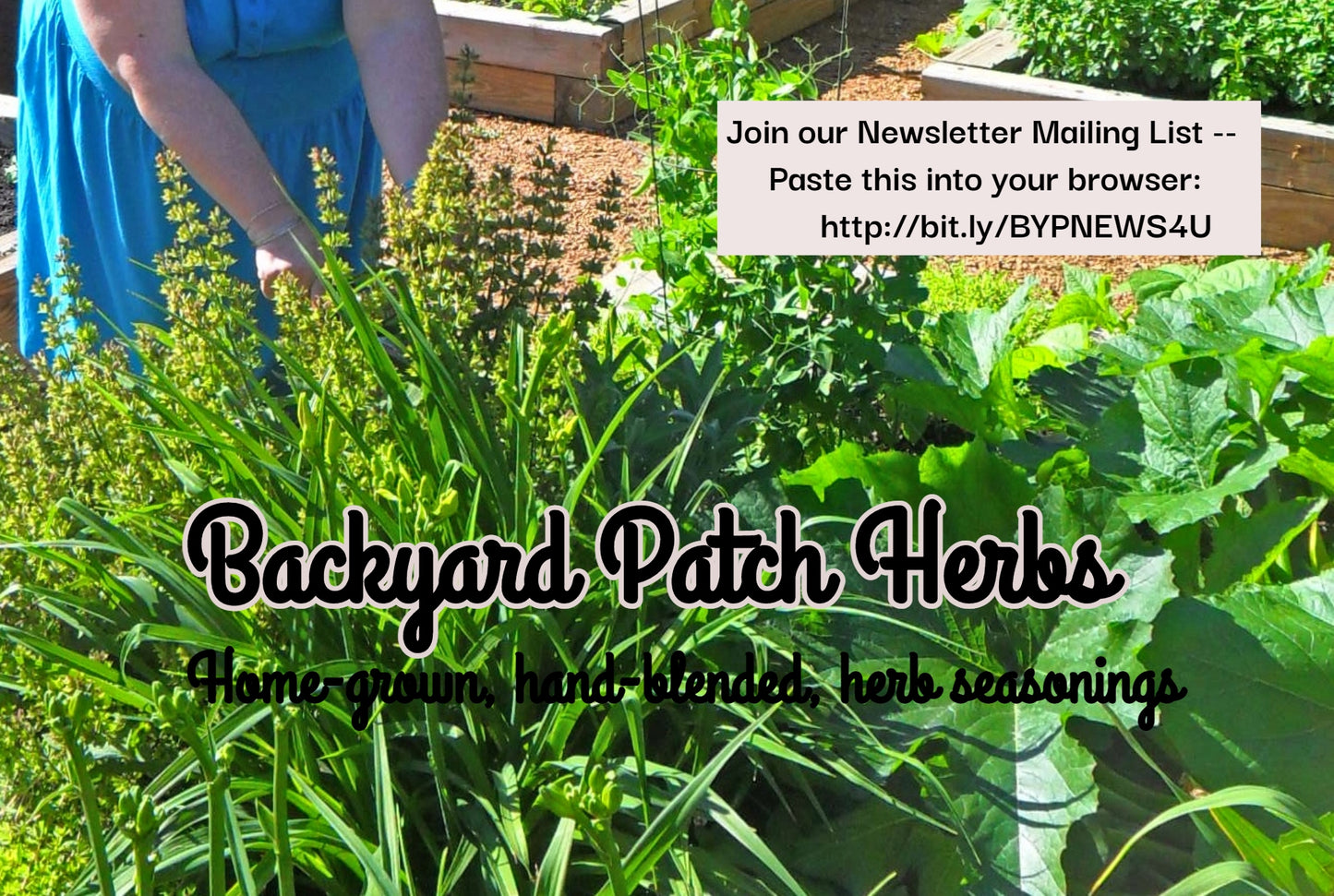 Gourmet Mexican Chicken and Wild Rice Dry Soup Mix, Backyard Patch Herbs,