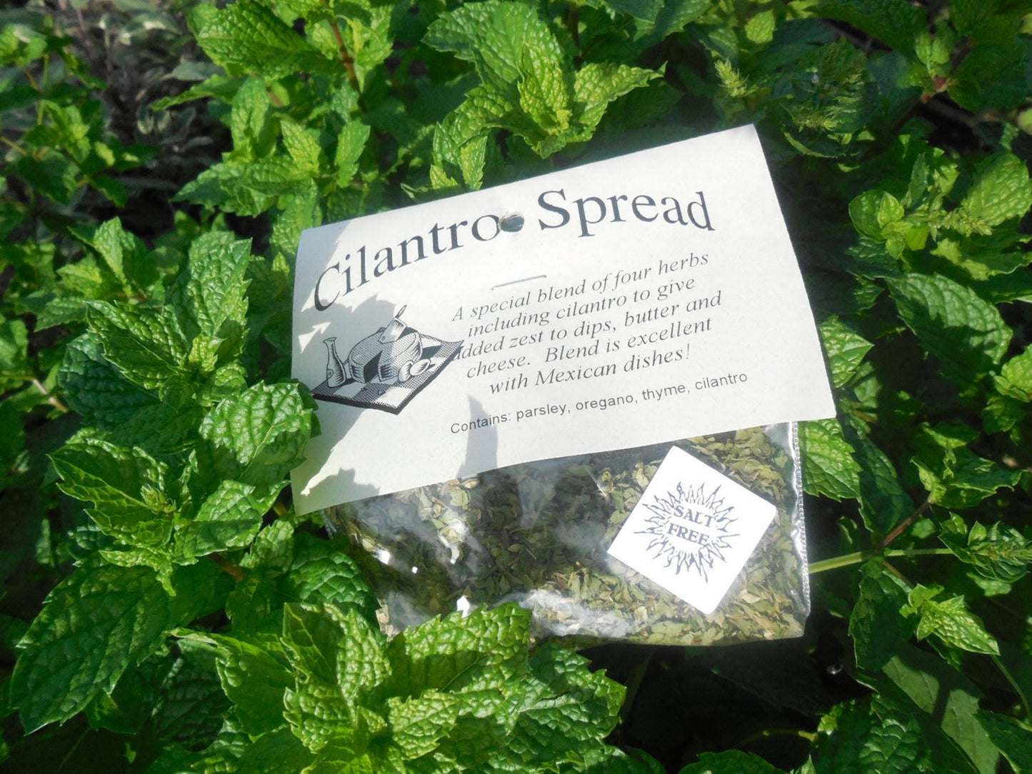 Cilantro Spread Butter / Cream Cheese Spread Mix, Hand-blended Dry salt free Cooking Herb Mix, no salt, gluten free