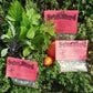 Salsa Seasoning Mixes, Hand-blended salt-free cooking Dry Herb Mix