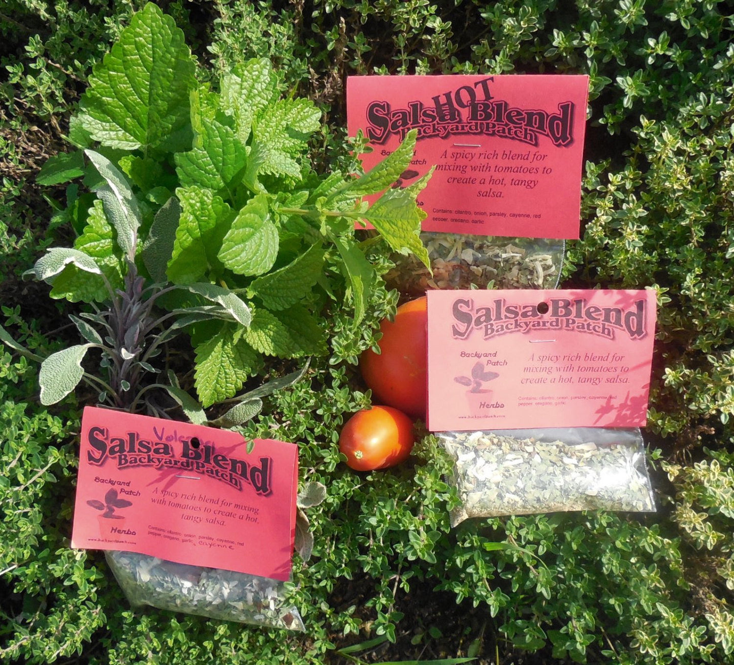 Salsa Seasoning Mixes, Hand-blended salt-free cooking Dry Herb Mix