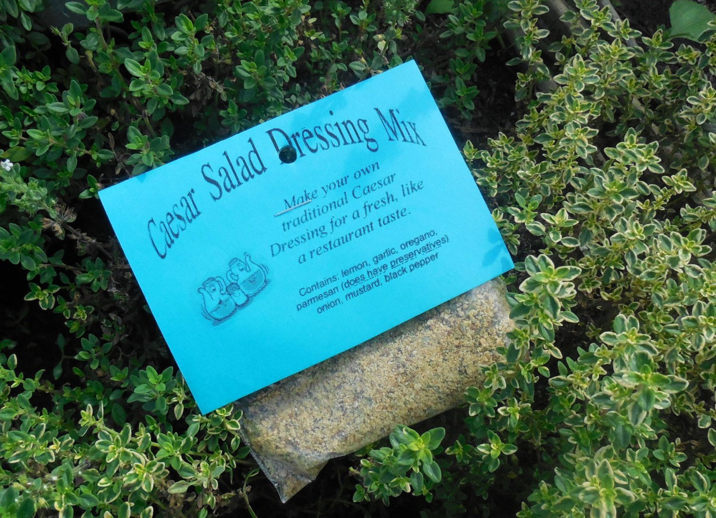 Caesar Salad Dressing Mix, Hand-blended Dry Herb Cooking Mix, savory herbs and garlic, gluten free