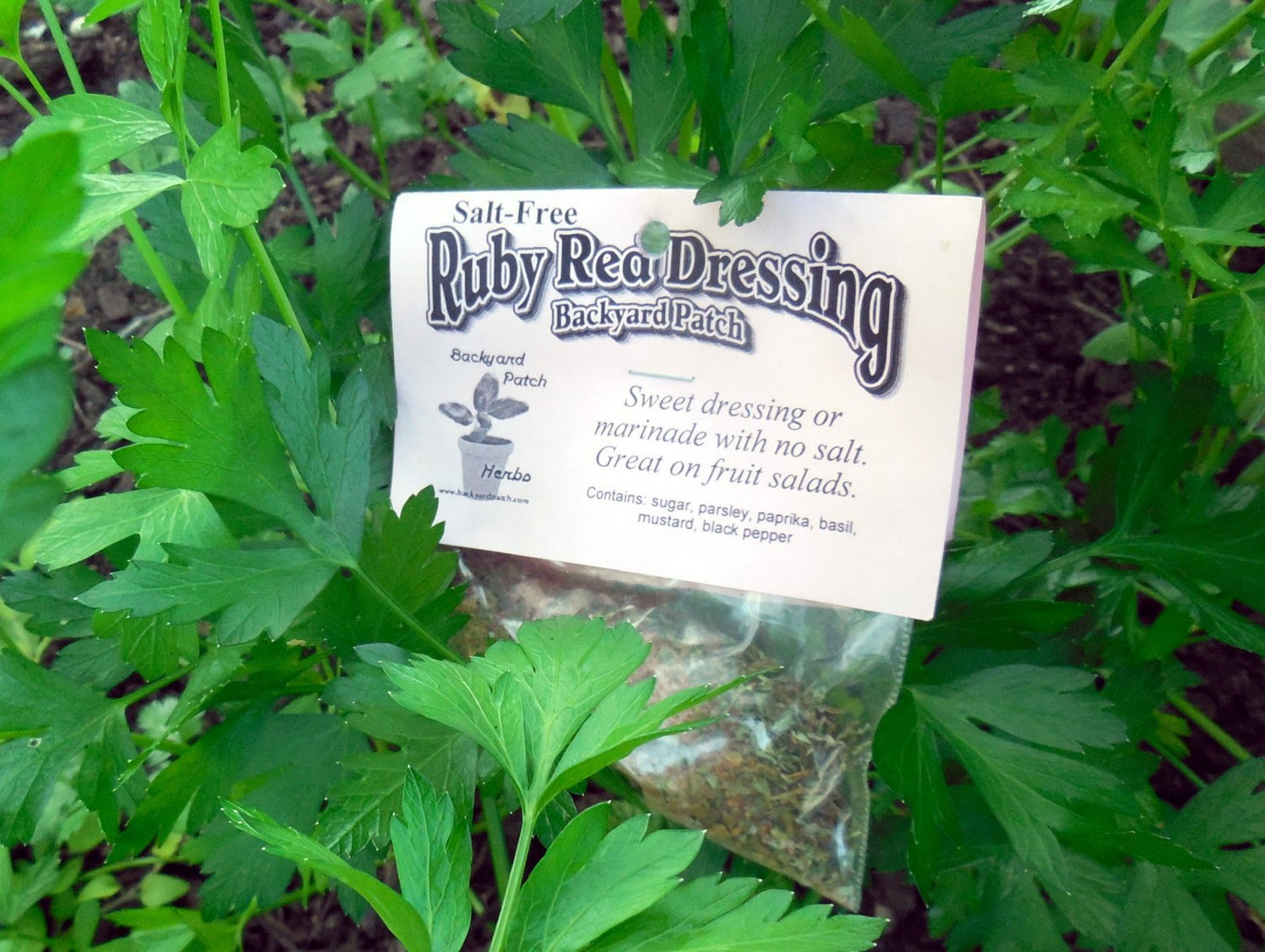 Salt-free Ruby Dressing Mix, Hand-blended Dry salt free Cooking Herb Mix, no salt, gluten free