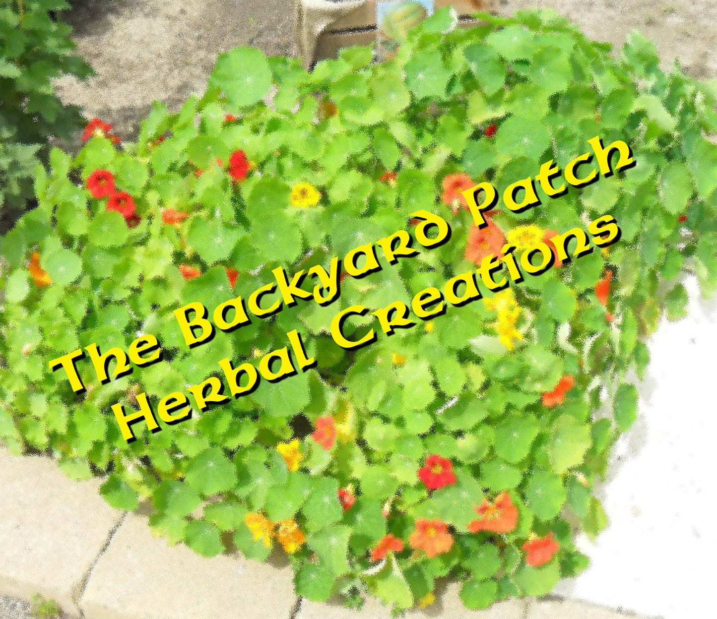 Minestrone Soup Mix | Gourmet dry soup mix | organic | Backyard Patch Herbs