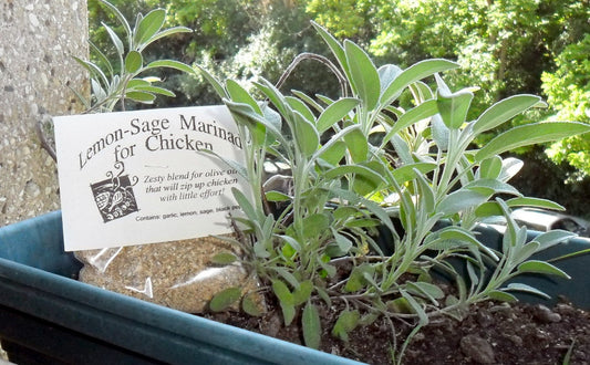Lemon Sage Marinade Mix, Hand-blended salt-free dry Herb Cooking Mix, citrus, poultry, gluten free, salt free