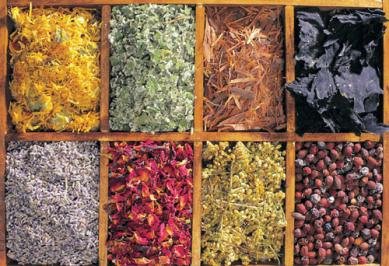 Individual Single Herbs to refill your spice / herb rack from Backyard Patch Herbs