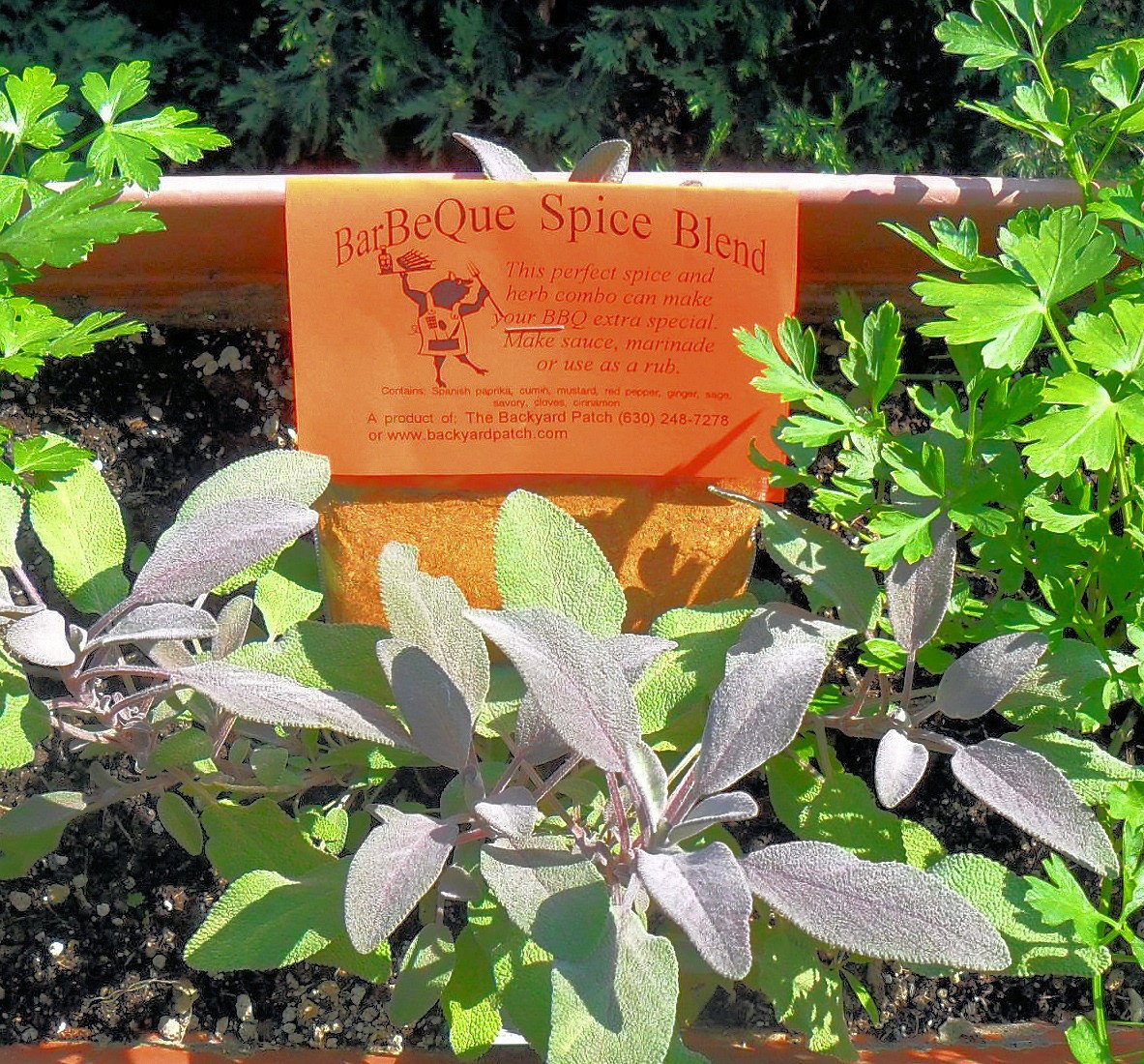 Rubs for Grilling, Dry Herb Cooking Mixes with no salt or preservatives by Backyard Patch Herbs