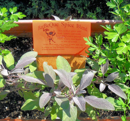 Rubs for Grilling, Dry Herb Cooking Mixes with no salt or preservatives by Backyard Patch Herbs