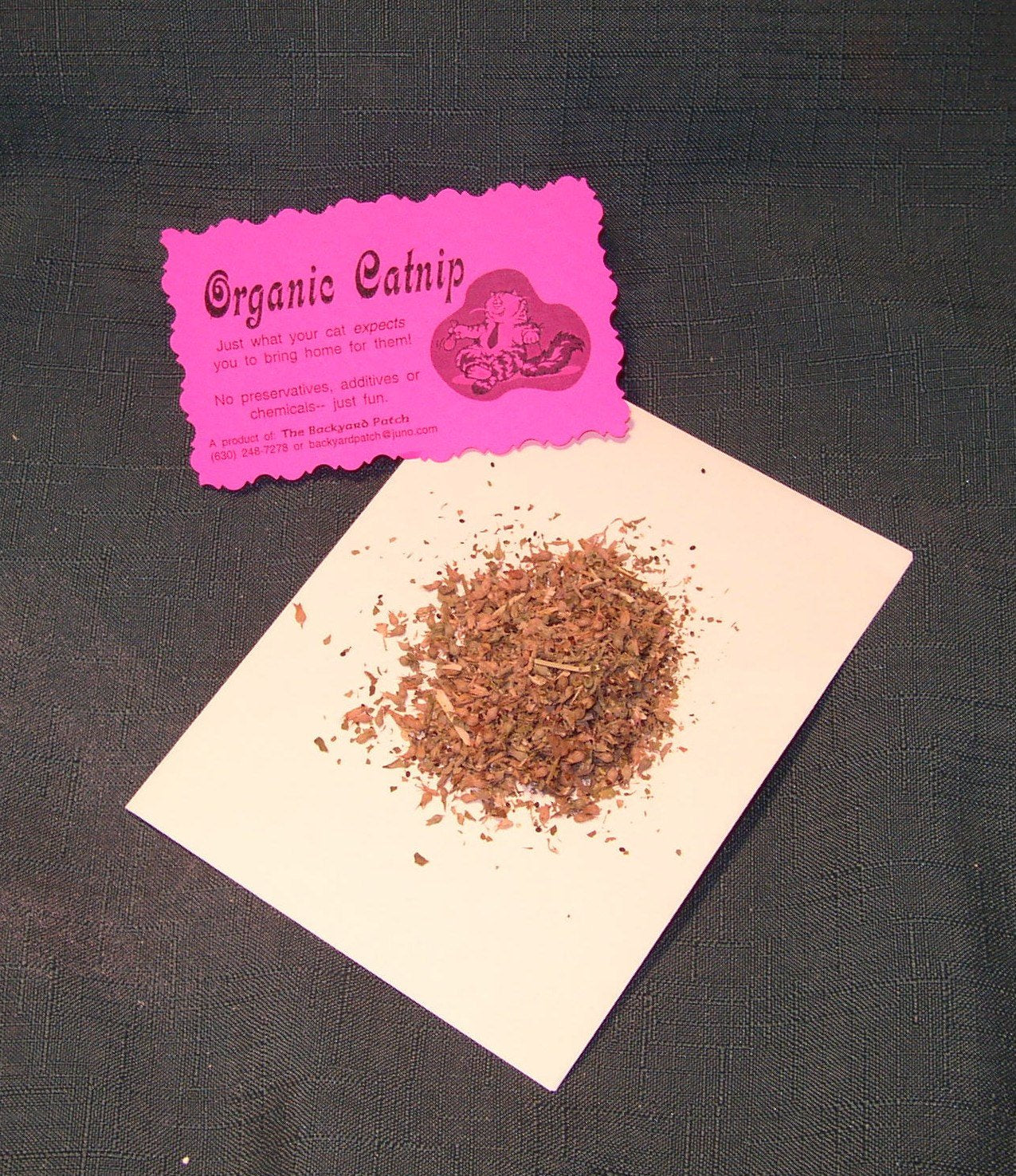 Catnip ~ for cats, organic, homegrown, pesticide-free