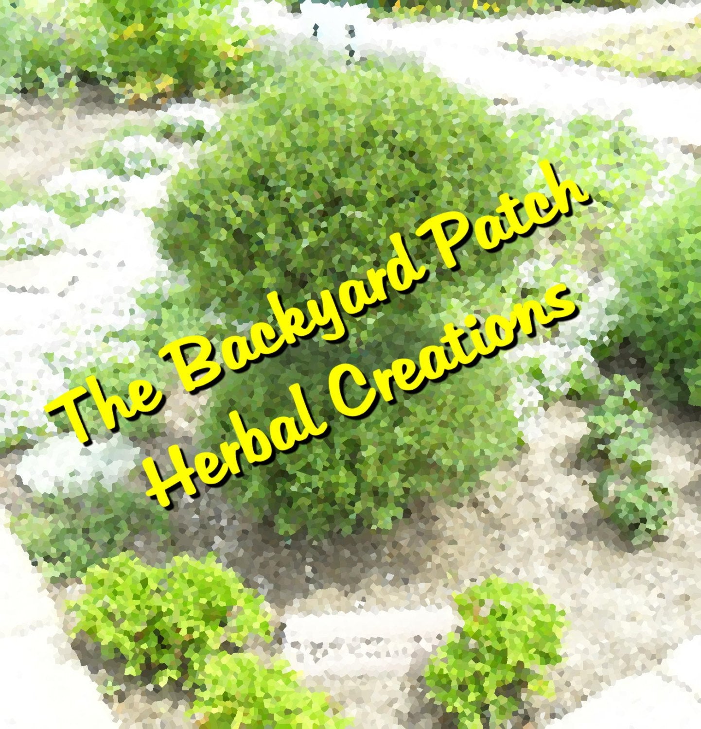 Spice Grinder Jars - Three flavors, Garam Masala, Whole Spice Blend, Curry Blend