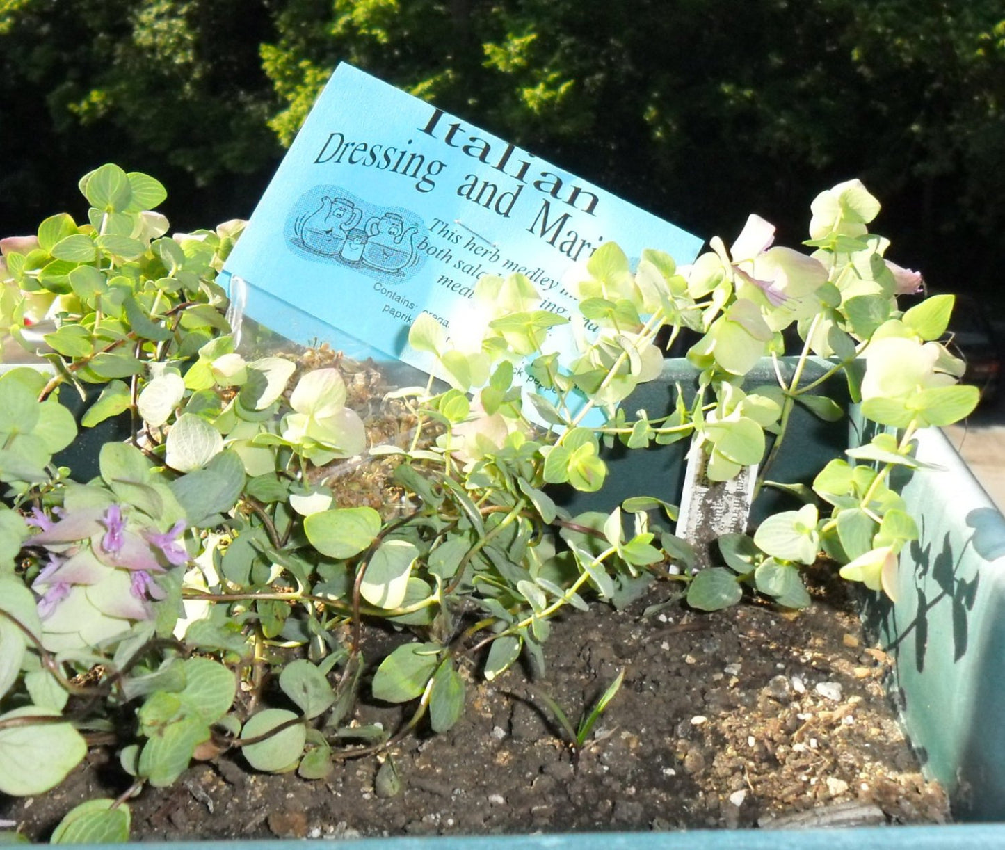 Grill Master Set of 5 dry Herb Seasoning Blends