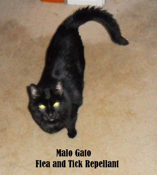 Flea and Tick Repellent Dry Powder for Cats