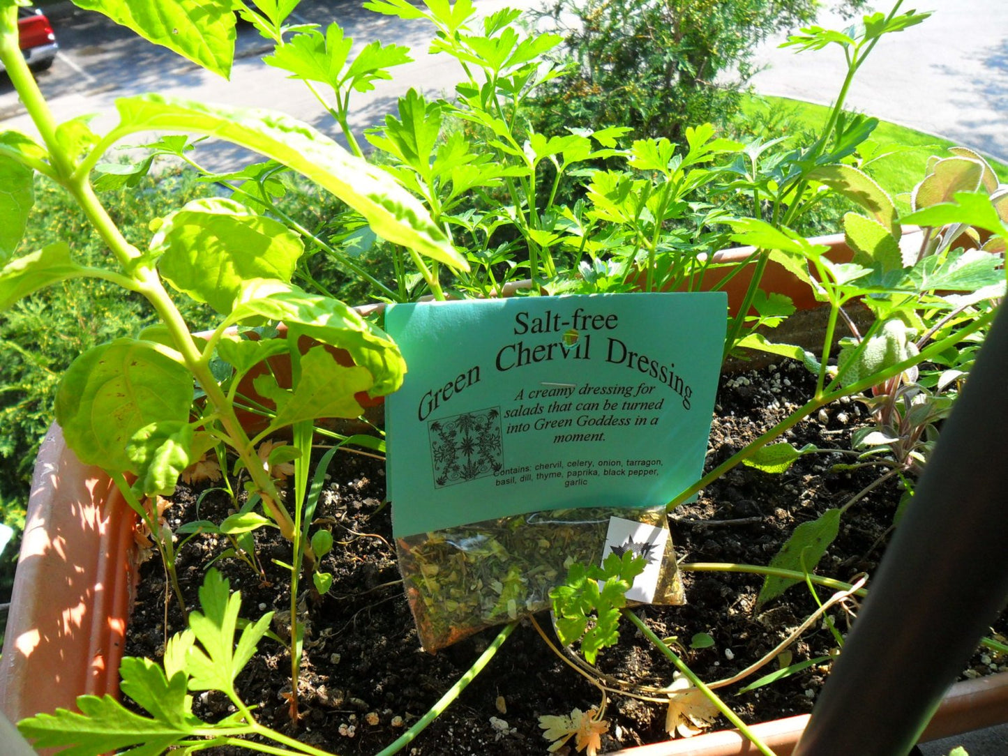 Salt-Free Salad Dressing Mixes, set of five