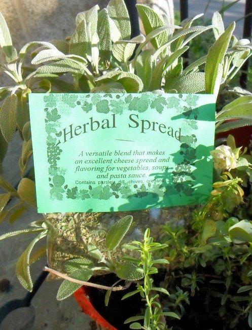 Cheese Ball, Cream Cheese Spread or Compound Butter Mixes, Natural herb blend for entertaining, hand-blended and salt-free mix