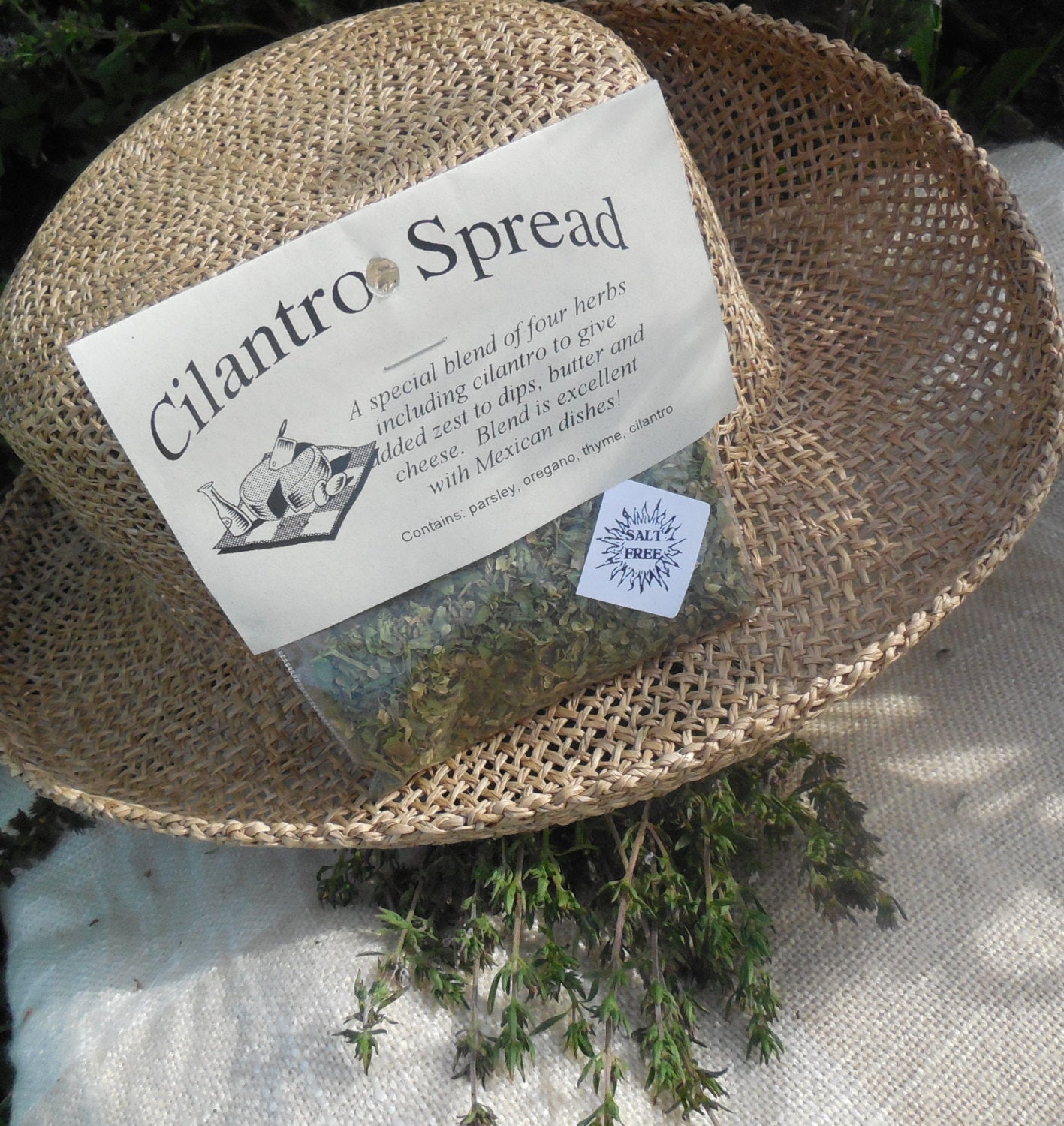 Cilantro Spread Butter / Cream Cheese Spread Mix, Hand-blended Dry salt free Cooking Herb Mix, no salt, gluten free