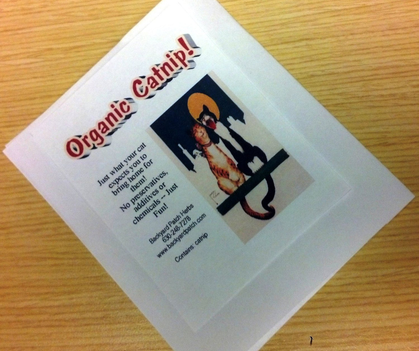 Catnip ~ for cats, organic, homegrown, pesticide-free