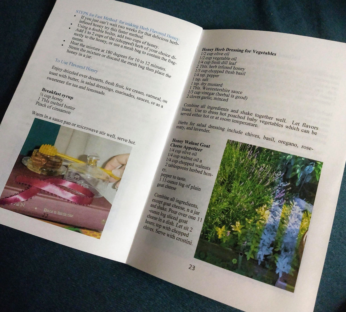 Book - Infusion (infusing the flavor of herbs)- Herbs R Easy series by Marcy Lautanen-Raleigh