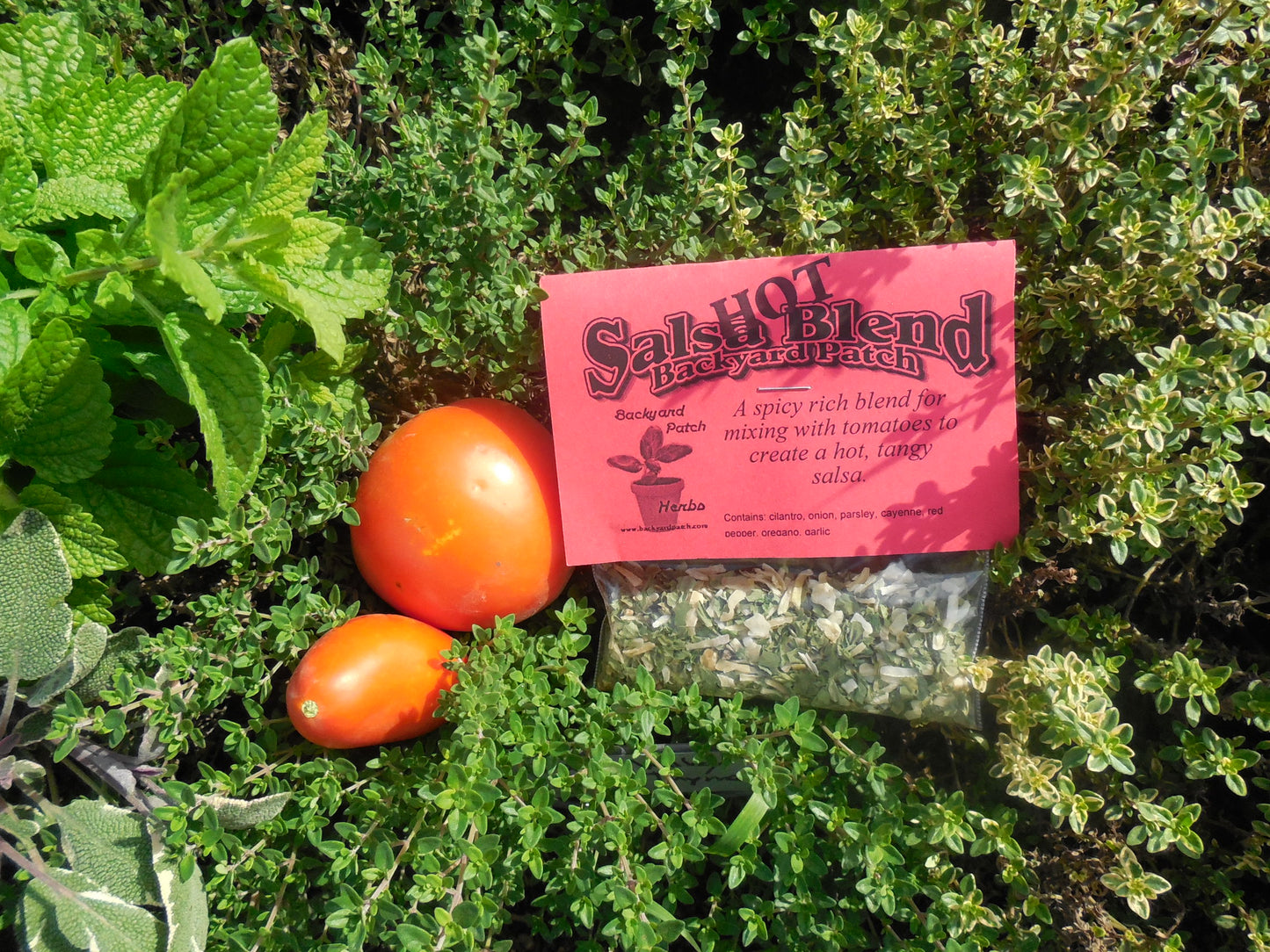 Herb Seasoning Blends for Dips, dressings, rubs and more, Choose your flavor