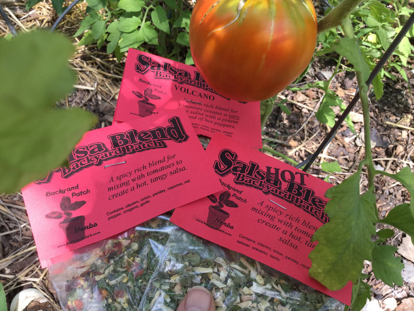 Herb Seasoning Blends for Dips, dressings, rubs and more, Choose your flavor