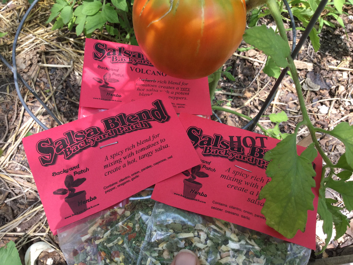 Salsa Seasoning Mixes, Hand-blended salt-free cooking Dry Herb Mix