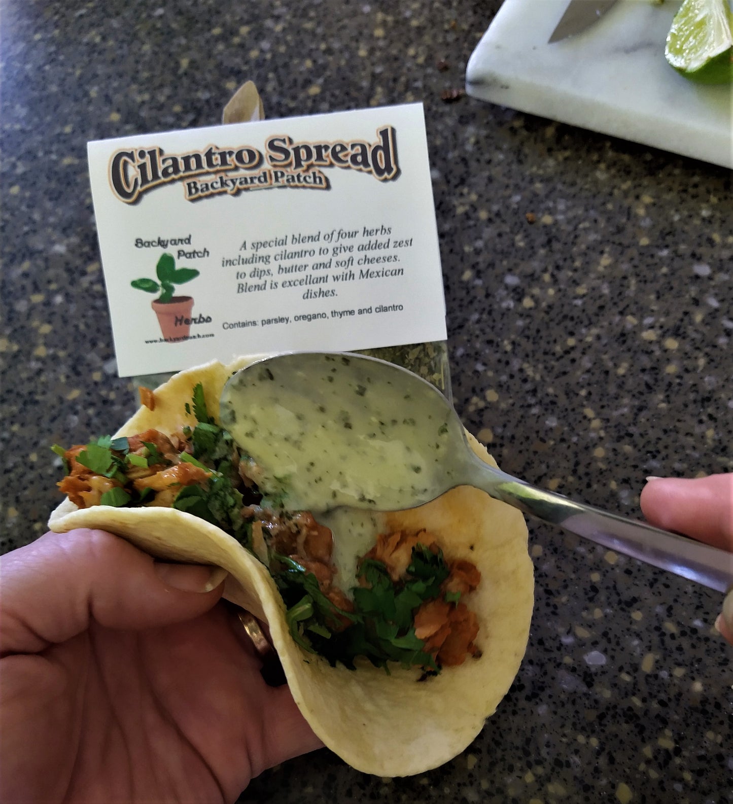 Cilantro Spread Butter / Cream Cheese Spread Mix, Hand-blended Dry salt free Cooking Herb Mix, no salt, gluten free